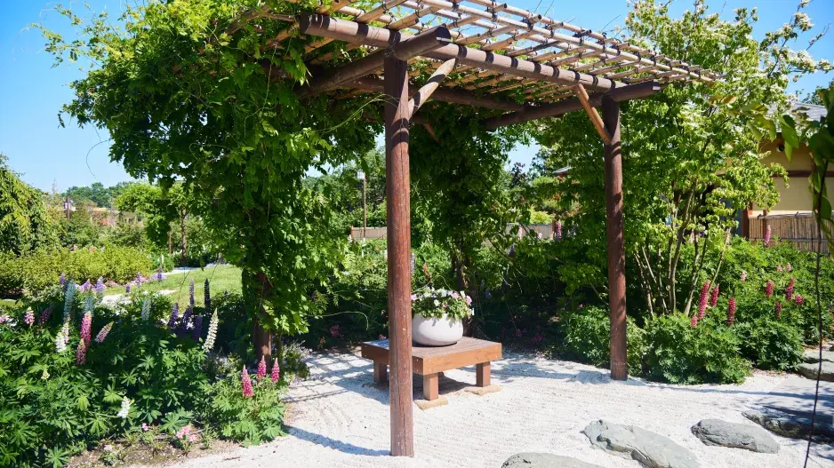 Pergola na zahradě
