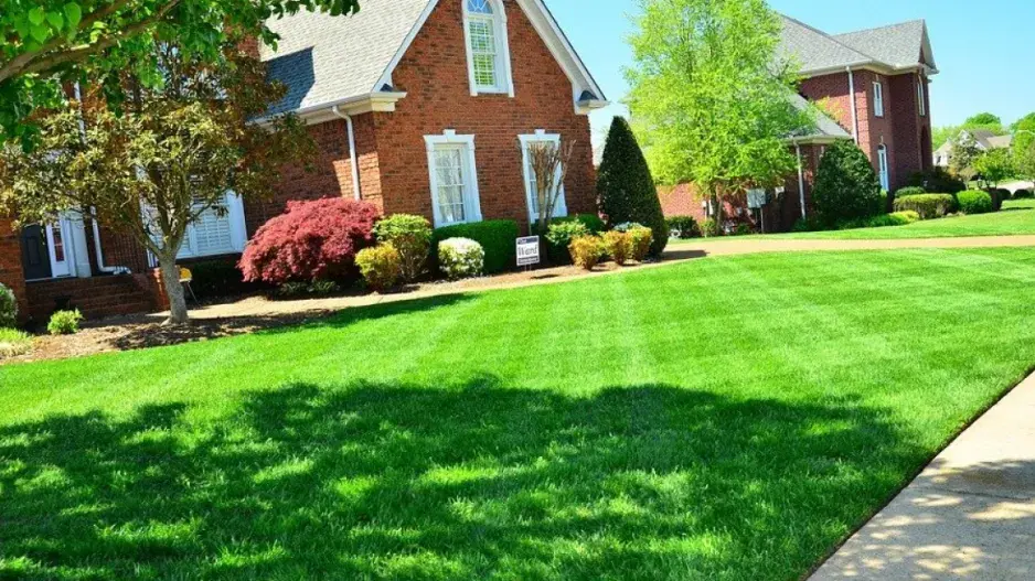 Trávník v zahradě