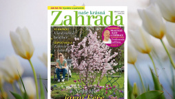 Bžeznová Naše krásná zahrada