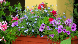 Dopřejte květinám na balkoně dostatek vláhy i po dobu vaší dovolené. použijte hydrogel i samozavlažovací truhlíky