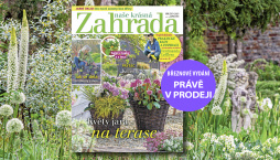 Naše krásná zahrada 3/2025