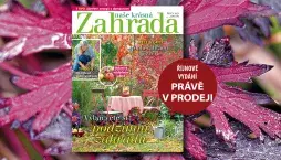 Naše krásná zahrada říjen 2025