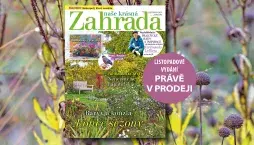 Naše krásná zahrada listopad 2025