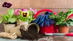 Recyklace na zahradě