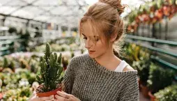 Zalévání pokojovek