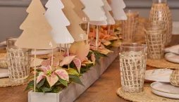 adventní kalendář se stromečky