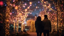 Vánoční osvětlení zahrady 