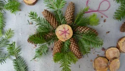 vánoční hvězda z šišek