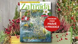 Naše krásná zahrada prosinec 2025