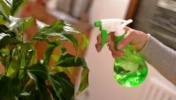 Postřik proti škůdcům