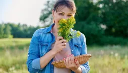 Léčivé rostliny užívejte s rozmyslem