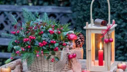 Vřesovištní rostliny