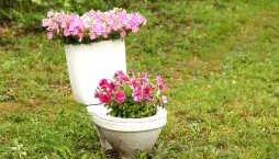 Světový den toalet