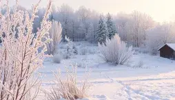 Jaké nás čeká počasí v lednu?