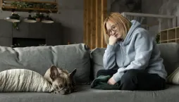 Zvířata na Silvestra 