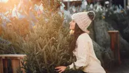 Vánoční stromeček