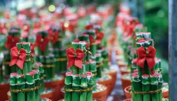 Dárek pro štěstí