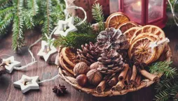 vánoční potpourri 