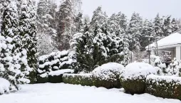 Krásy zimní zahrady