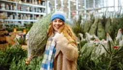 Jak vybrat vánoční stromek