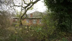 Sestřih zdivočelých okrasných keřů