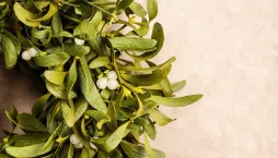 Vánoční věnec na dveře 