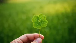 Rostliny pro štěstí