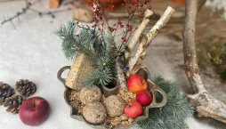 krmítko z formy na bábovku