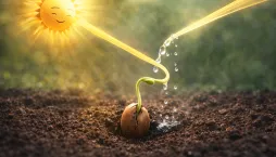 Tajné triky pro rychlé klíčení. Semínka vyrazí dřív, než čekáte