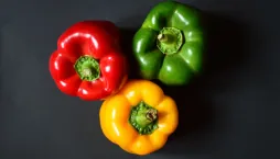 Zelenina pro hubnutí 