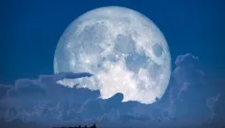 Sněžný úplněk ve Lvu