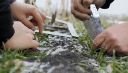 S některými pracemi na zahradě počkejte, dokud se skutečně neoteplí