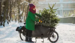 Vánoční stromeček