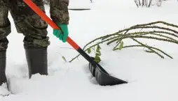 Využití sněhu v zahradě