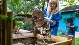 Jedovaté rostliny v kompostu