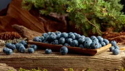 Co potřebují borůvky v únoru? Péči, kterou byste ani nečekali