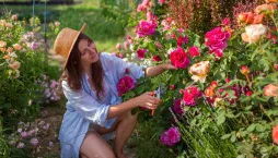 Růžová zahrada, kterou ale zdaleka netvoří jen růže
