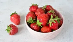 Výsev jahod ze semen je překvapivě snadný a bude bavit i děti