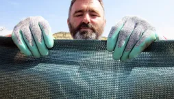 Stínovky v zahradě