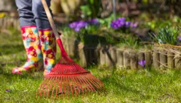 Co na zahradě dělat jako první, když sleze sníh a půda povolí?