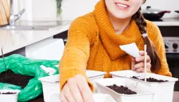 Moderní vychytávky pro pěstování 