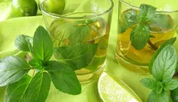 Druhy máty přehledně