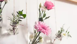 Závěsná množírna 