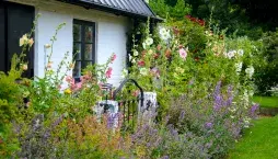 Předzahrádka u domu