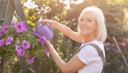 Pěstování muškátů a petúnií