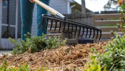 Pátek 13. na zahradě