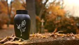 Návštěva hřbitova