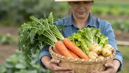 jarní příprava půdy