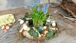 velikonoční modřence