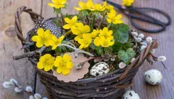 Pašijový týden v zahradě: Květiny, tradice a jarní probuzení